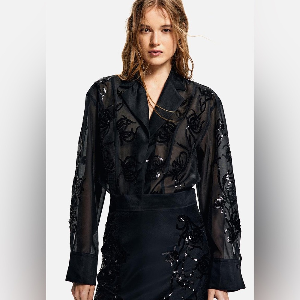 H&M Organza Elegant Black Sheer Embroidered Blouse